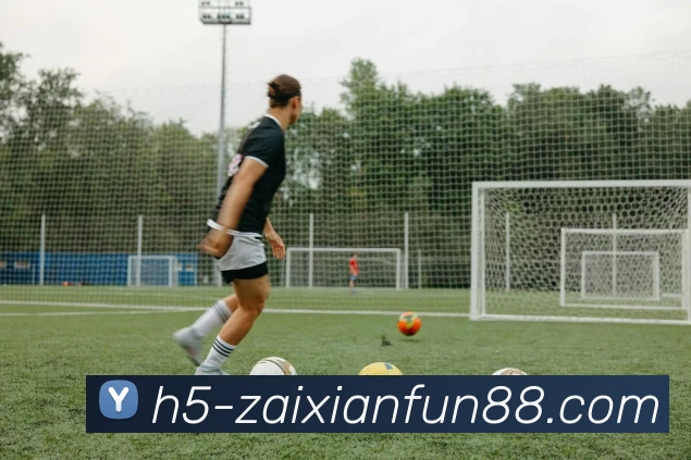 在线FUN88平台生态图